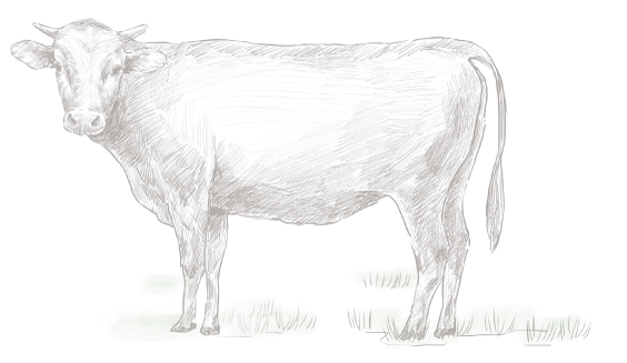 fullDivision_counter_leftBack